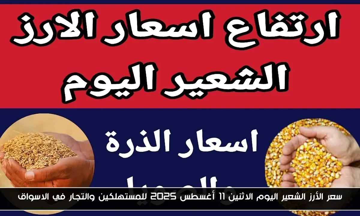 سعر الأرز الشعير اليوم الاثنين 11 أغسطس 2025 للمستهلكين والتجار في الاسواق