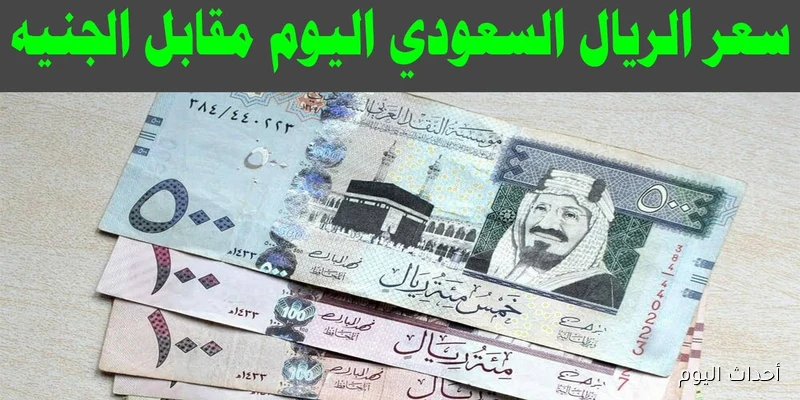 100 ريال سعودي كم جنيه مصري في السوق السوداء؟ الثلاثاء 26 أغسطس 2025