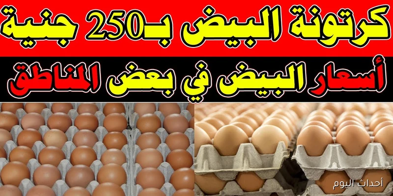 (ابيض واحمر وبلدي) سعر كرتونة البيض اليوم للمستهلك في الاسواق المصرية