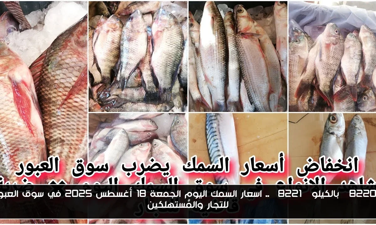 “بالكيلو” .. اسعار السمك اليوم الجمعة 18 أغسطس 2025 في سوق العبور للتجار والمُستهلكين