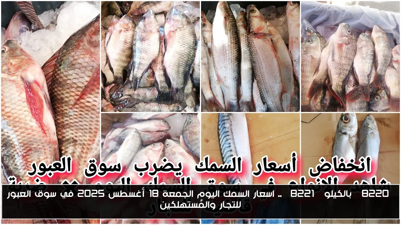 “بالكيلو” .. اسعار السمك اليوم الجمعة 18 أغسطس 2025 في سوق العبور للتجار والمُستهلكين