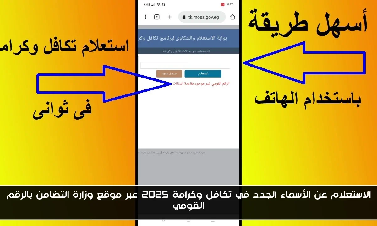 الاستعلام عن الأسماء الجدد في تكافل وكرامة 2025 عبر موقع وزارة التضامن بالرقم القومي