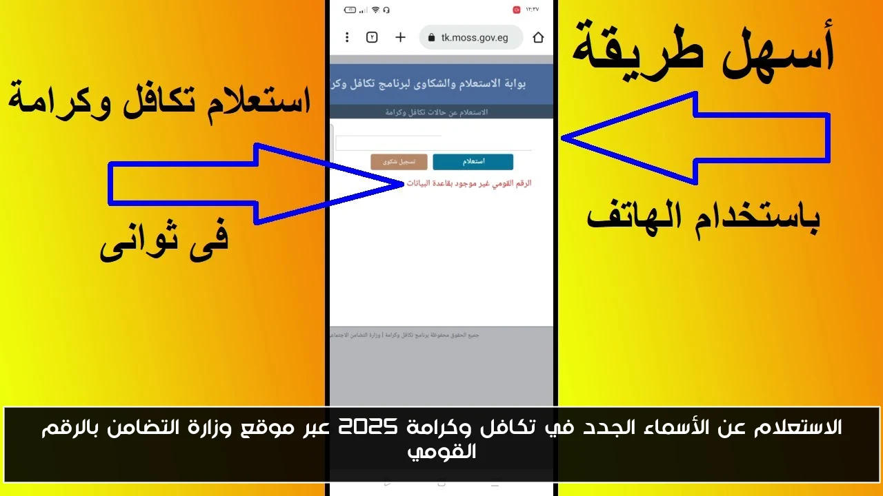الاستعلام عن الأسماء الجدد في تكافل وكرامة 2025 عبر موقع وزارة التضامن بالرقم القومي