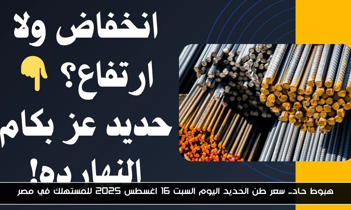 هبوط حاد.. سعر طن الحديد اليوم السبت 16 اغسطس 2025 للمستهلك في مصر