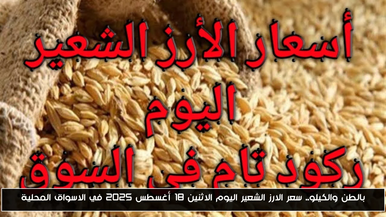 بالطن والكيلو.. سعر الارز الشعير اليوم الاثنين 18 أغسطس 2025 في الاسواق المحلية