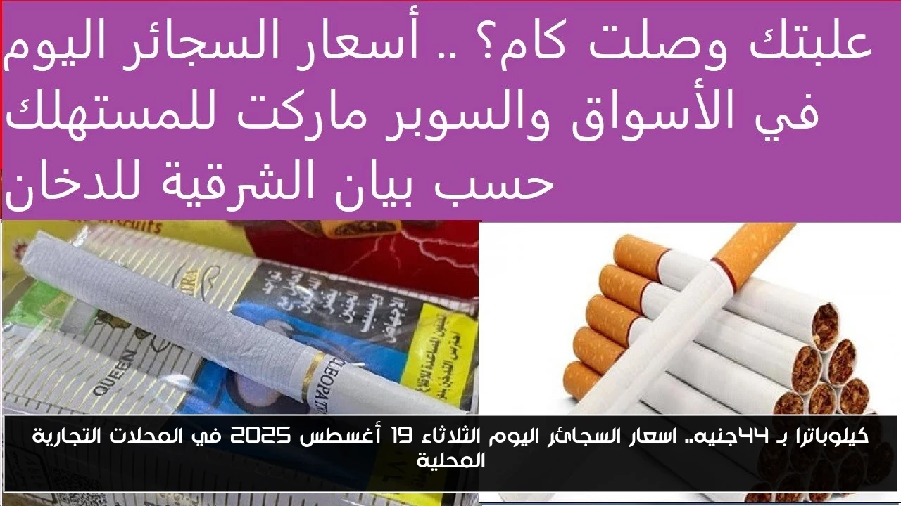 كيلوباترا بـ 44جنيه.. اسعار السجائر اليوم الثلاثاء 19 أغسطس 2025 في المحلات التجارية المحلية