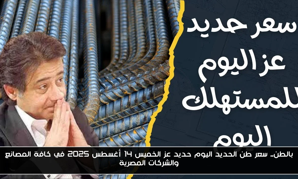 بالطن.. سعر طن الحديد اليوم حديد عز الخميس 14 أغسطس 2025 في كافة المصانع والشركات المصرية
