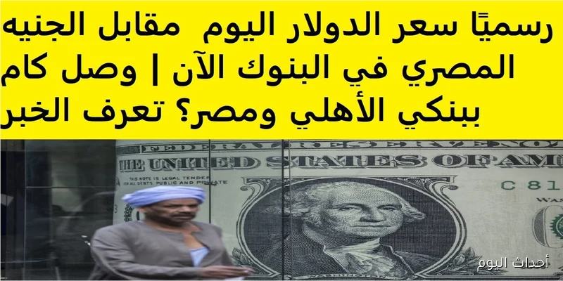 “يخالف التوقعات”.. سعر الدولار اليوم في مصر تحديث يومي بالبنوك والسوق السوداء