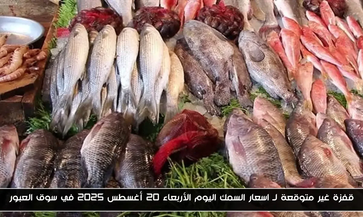 قفزة غير متوقعة لـ اسعار السمك اليوم الأربعاء 20 أغسطس 2025 في سوق العبور