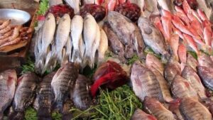 اسعار السمك اليوم