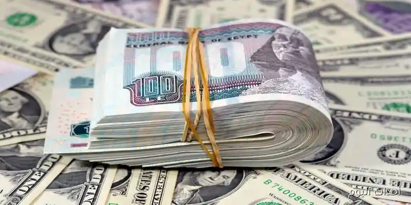 سعر الدولار مقابل الجنيه المصري الجمعة 29 أغسطس 2025 في البنوك بعد خفض أسعار الفائدة بنسبة 2%