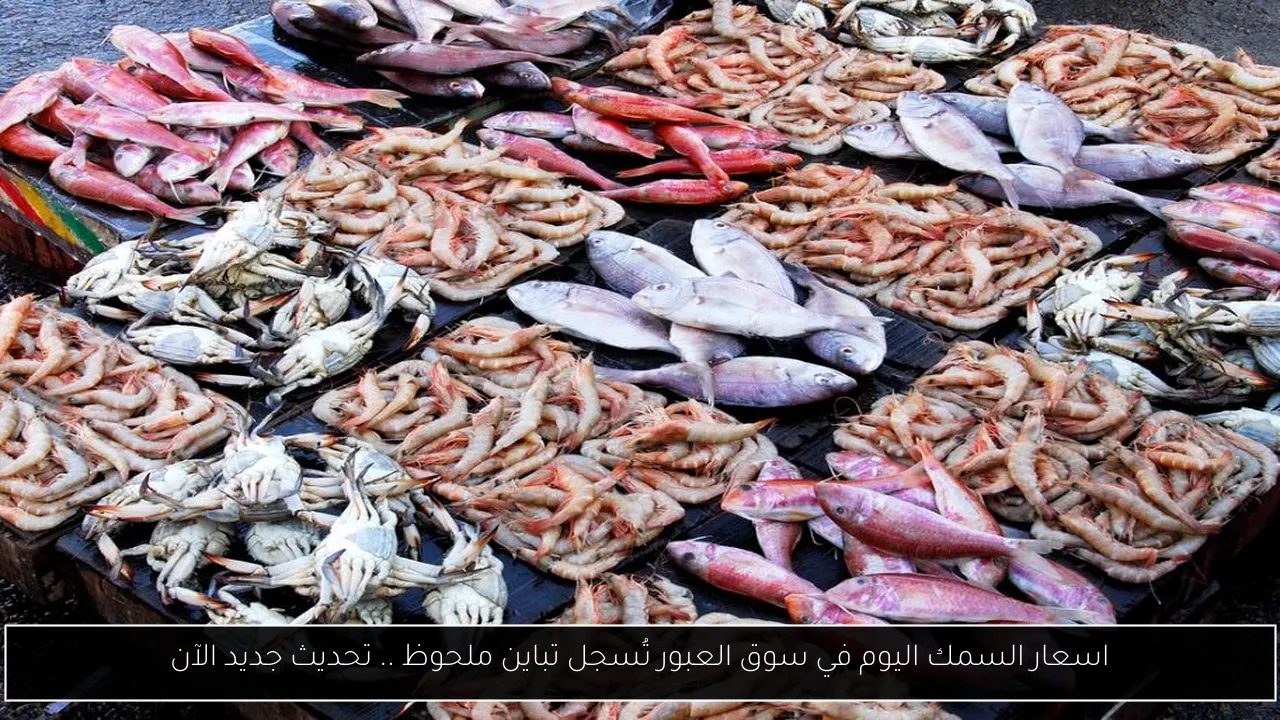 اسعار السمك اليوم في سوق العبور