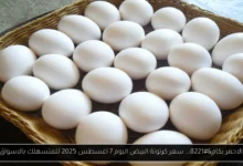 سعر كرتونة البيض اليوم