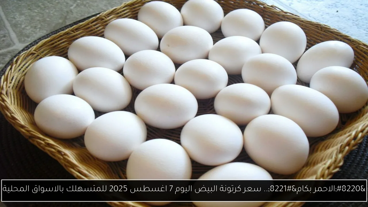 سعر كرتونة البيض اليوم