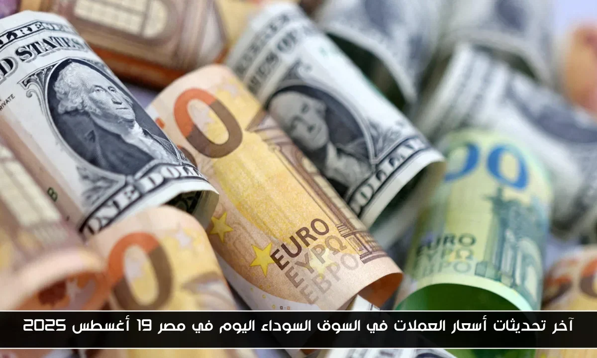 آخر تحديثات أسعار العملات في السوق السوداء اليوم في مصر 19 أغسطس 2025
