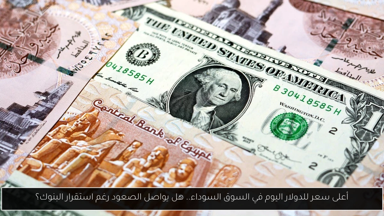 أعلى سعر للدولار اليوم في السوق السوداء
