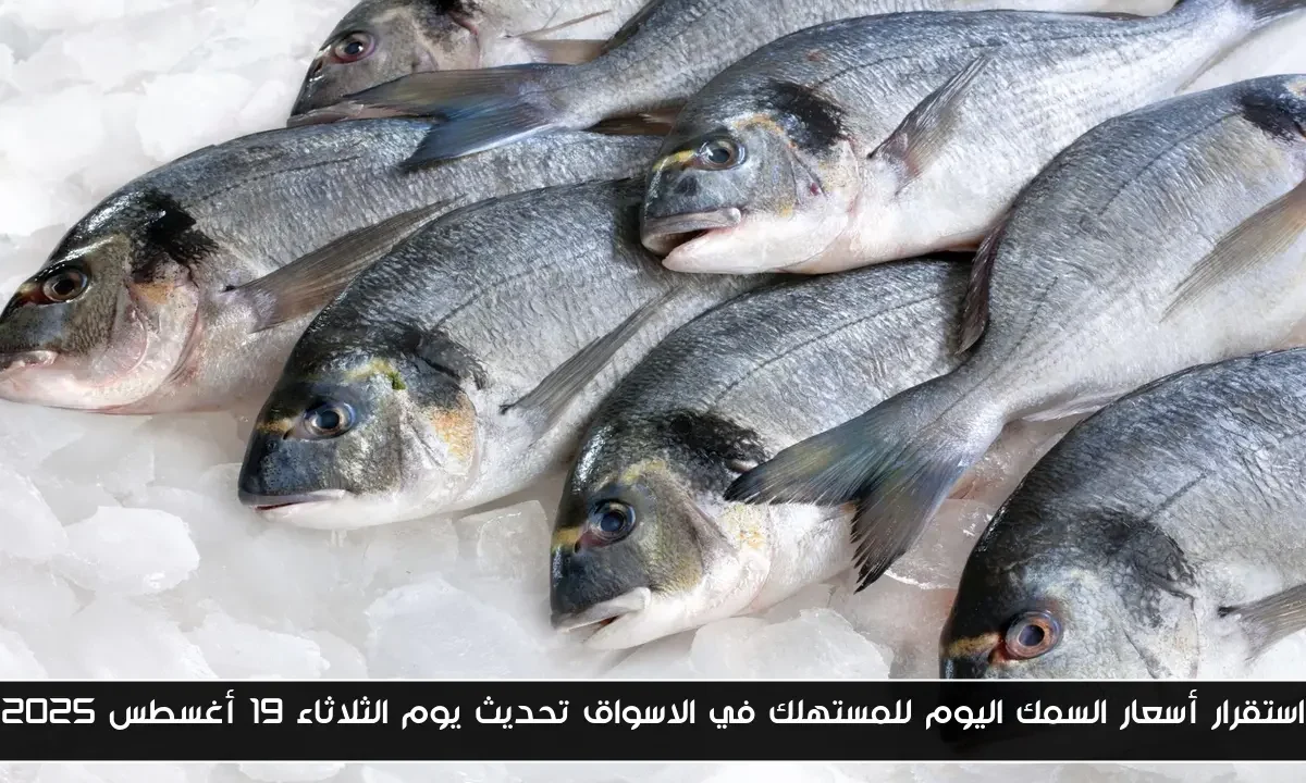 استقرار أسعار السمك اليوم للمستهلك في الاسواق تحديث يوم الثلاثاء 19 أغسطس 2025