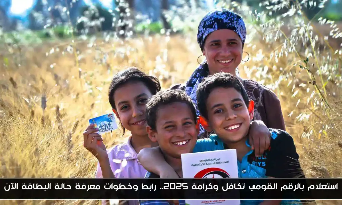 استعلام بالرقم القومي تكافل وكرامة 2025.. رابط وخطوات معرفة حالة البطاقة الآن