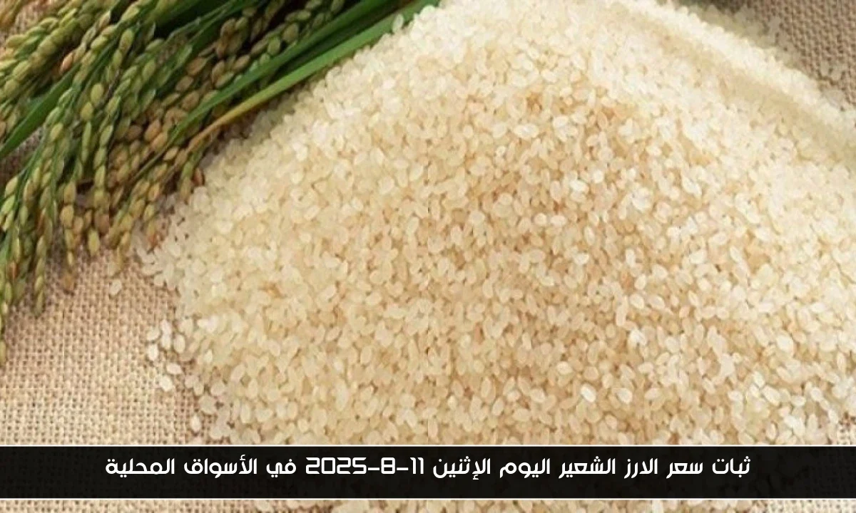 ثبات سعر الارز الشعير اليوم الإثنين 11-8-2025 في الأسواق المحلية