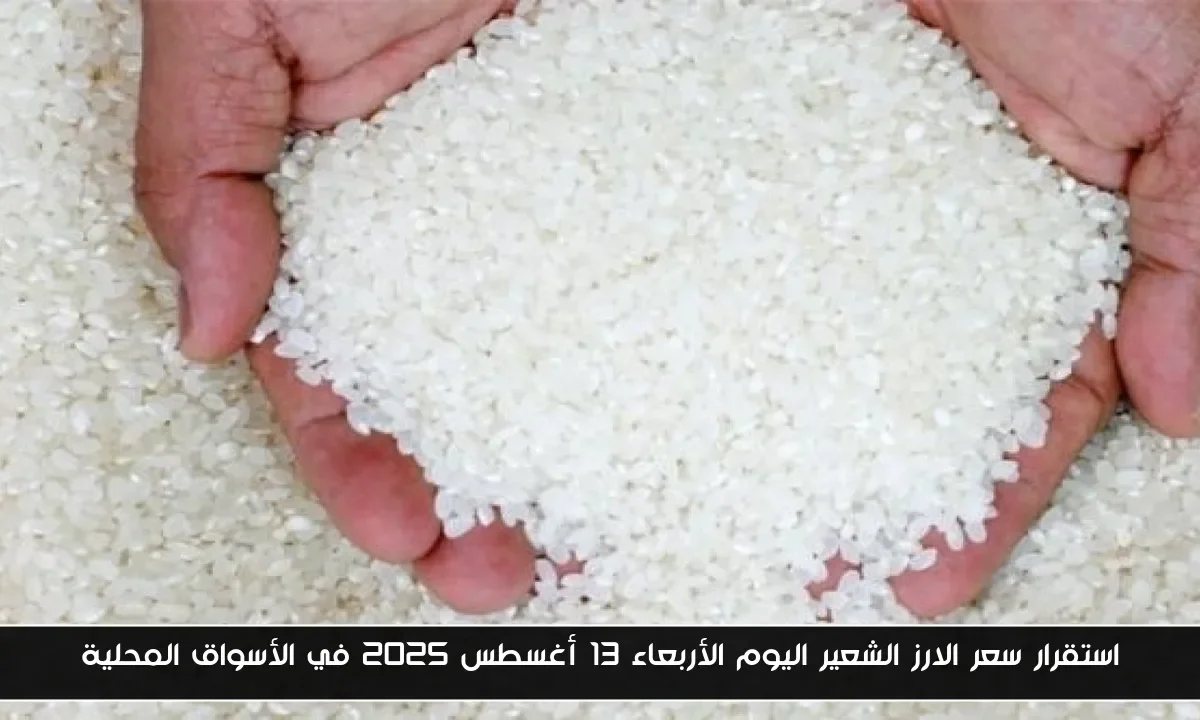 استقرار سعر الارز الشعير اليوم الأربعاء 13 أغسطس 2025 في الأسواق المحلية