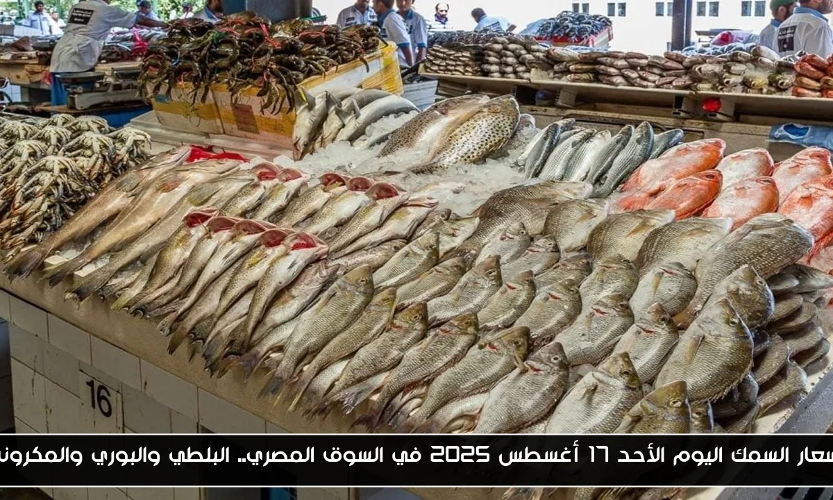 اسعار السمك اليوم الأحد 17 أغسطس 2025 في السوق المصري.. البلطي والبوري والمكرونة