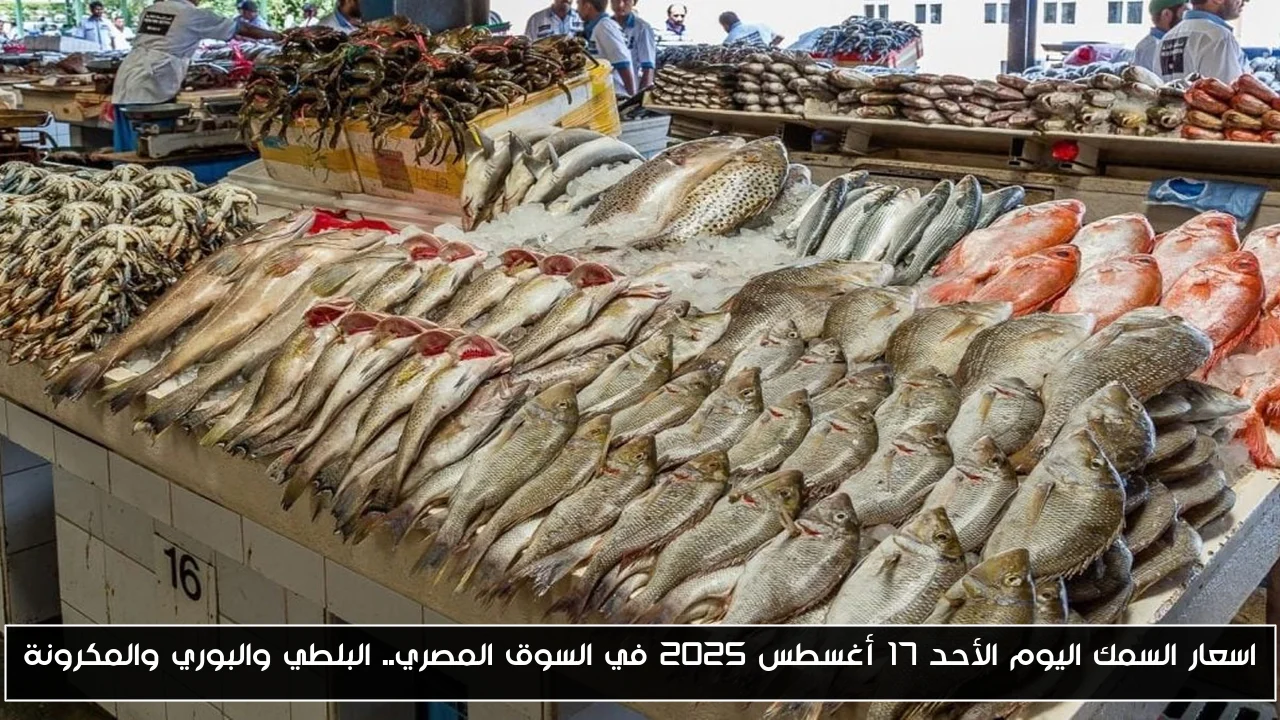 اسعار السمك اليوم الأحد 17 أغسطس 2025 في السوق المصري.. البلطي والبوري والمكرونة