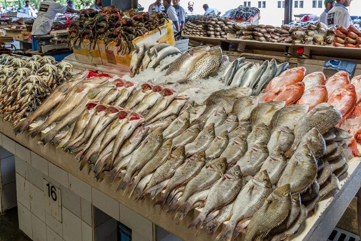 اسعار السمك اليوم