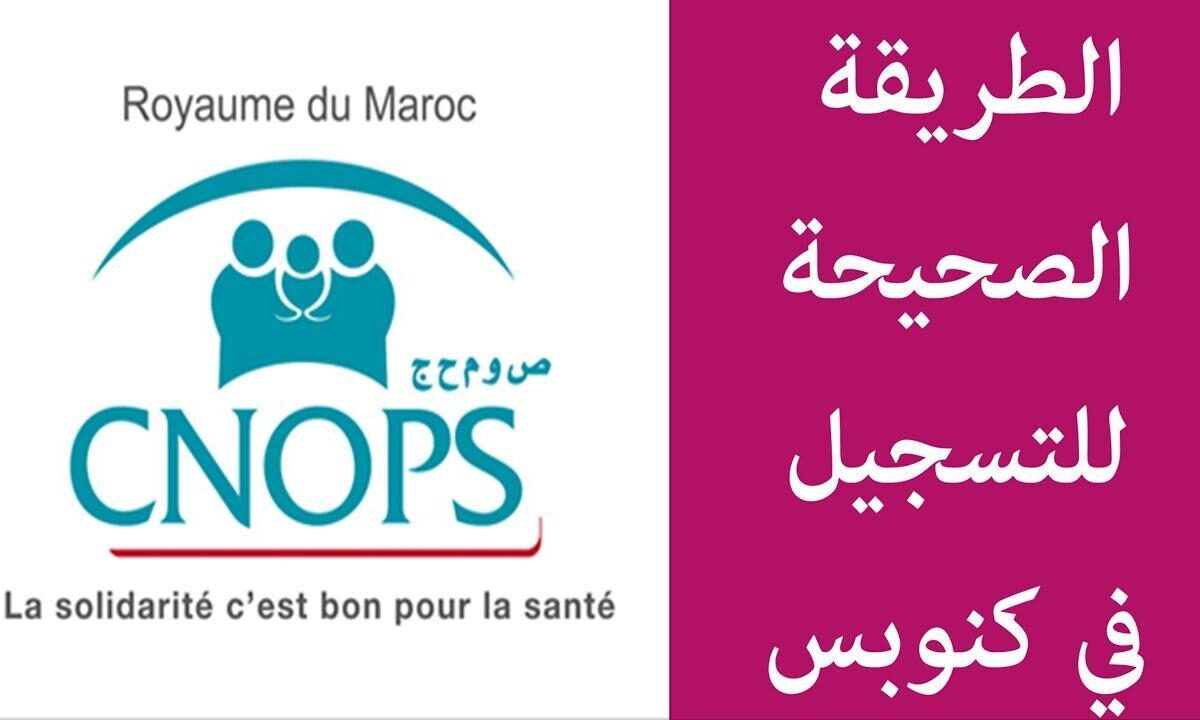 رابط التسجيل في كنوبس الجديد 2025 عبر البوابة الرقمية الرسمية والشروط المطلوبة