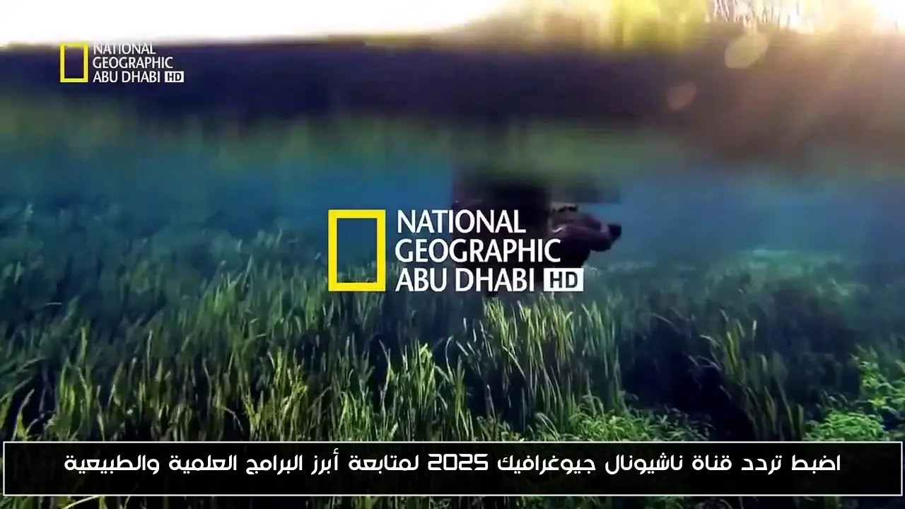 اضبط تردد قناة ناشيونال جيوغرافيك 2025 لمتابعة أبرز البرامج العلمية والطبيعية