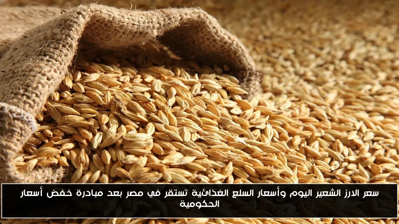 سعر الارز الشعير اليوم وأسعار السلع الغذائية تستقر في مصر بعد مبادرة خفض أسعار الحكومية