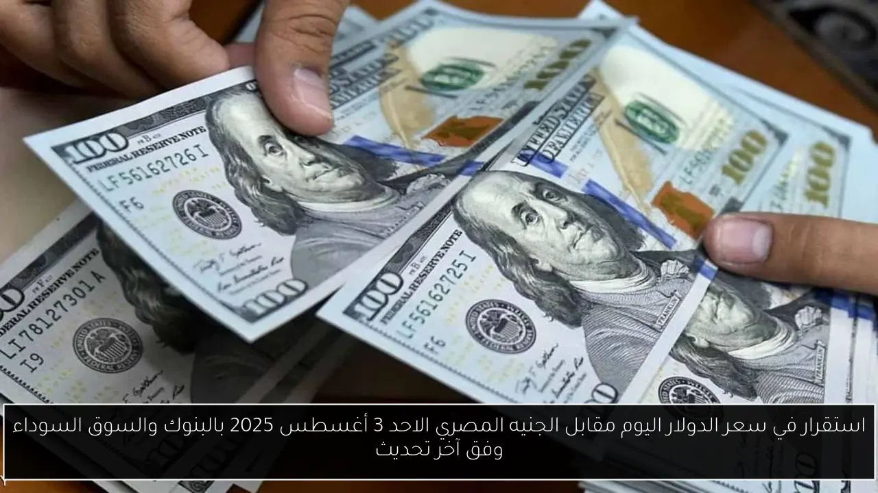 سعر الدولار مقابل الجنيه المصري