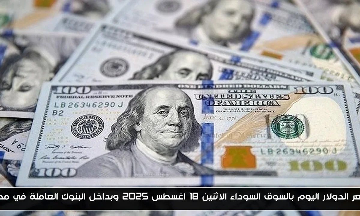 سعر الدولار اليوم بالسوق السوداء الاثنين 18 اغسطس 2025 وبداخل البنوك العاملة في مصر