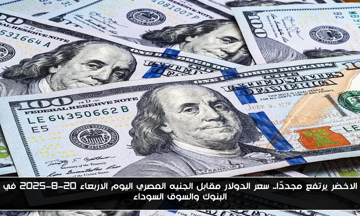 الاخضر يرتفع مجددًا.. سعر الدولار مقابل الجنيه المصري اليوم الاربعاء 20-8-2025 في البنوك والسوق السوداء