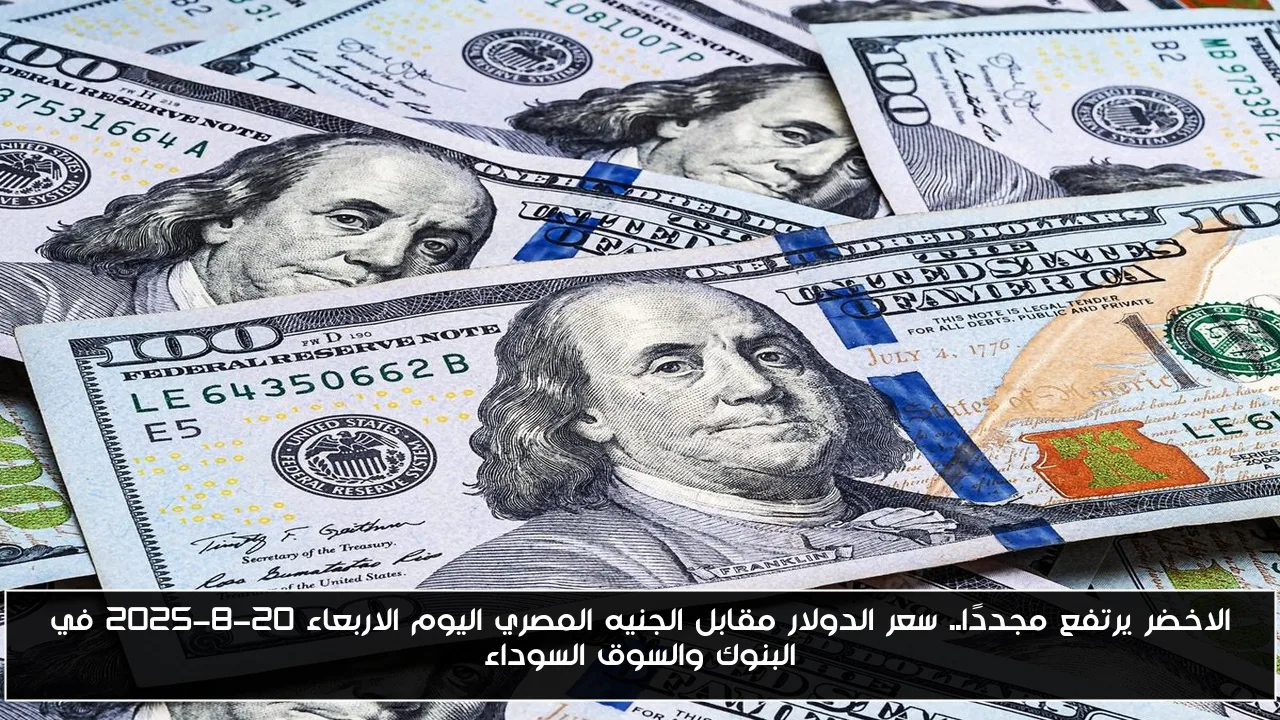 الاخضر يرتفع مجددًا.. سعر الدولار مقابل الجنيه المصري اليوم الاربعاء 20-8-2025 في البنوك والسوق السوداء