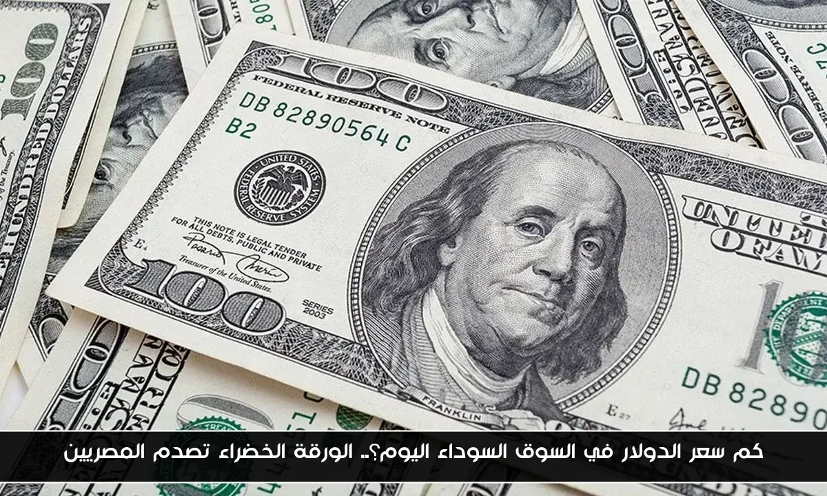 كم سعر الدولار في السوق السوداء اليوم؟.. الورقة الخضراء تصدم المصريين