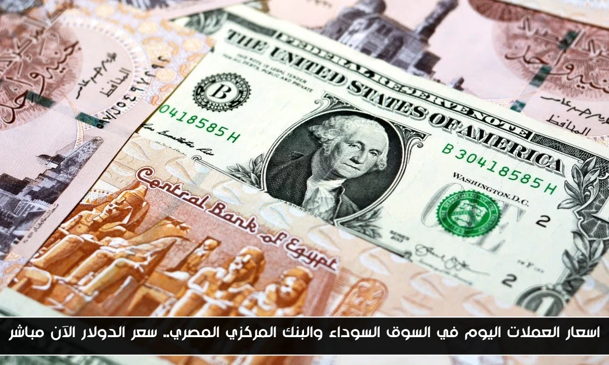 اسعار العملات اليوم في السوق السوداء والبنك المركزي المصري.. سعر الدولار الآن مباشر