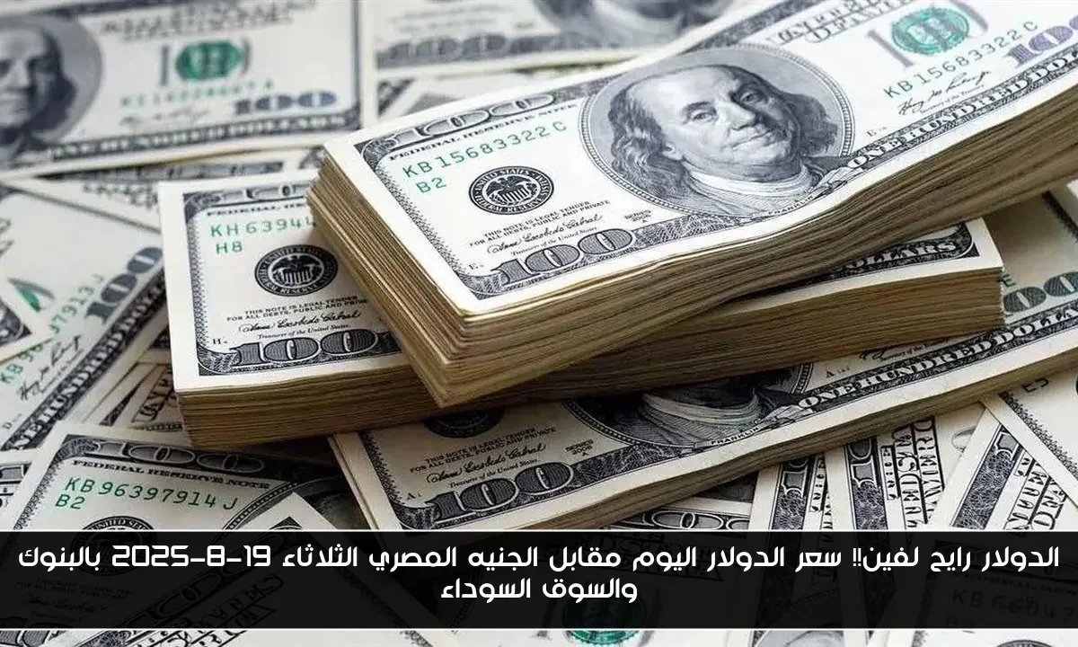 الدولار رايح لفين!! سعر الدولار اليوم مقابل الجنيه المصري الثلاثاء 19-8-2025 بالبنوك والسوق السوداء