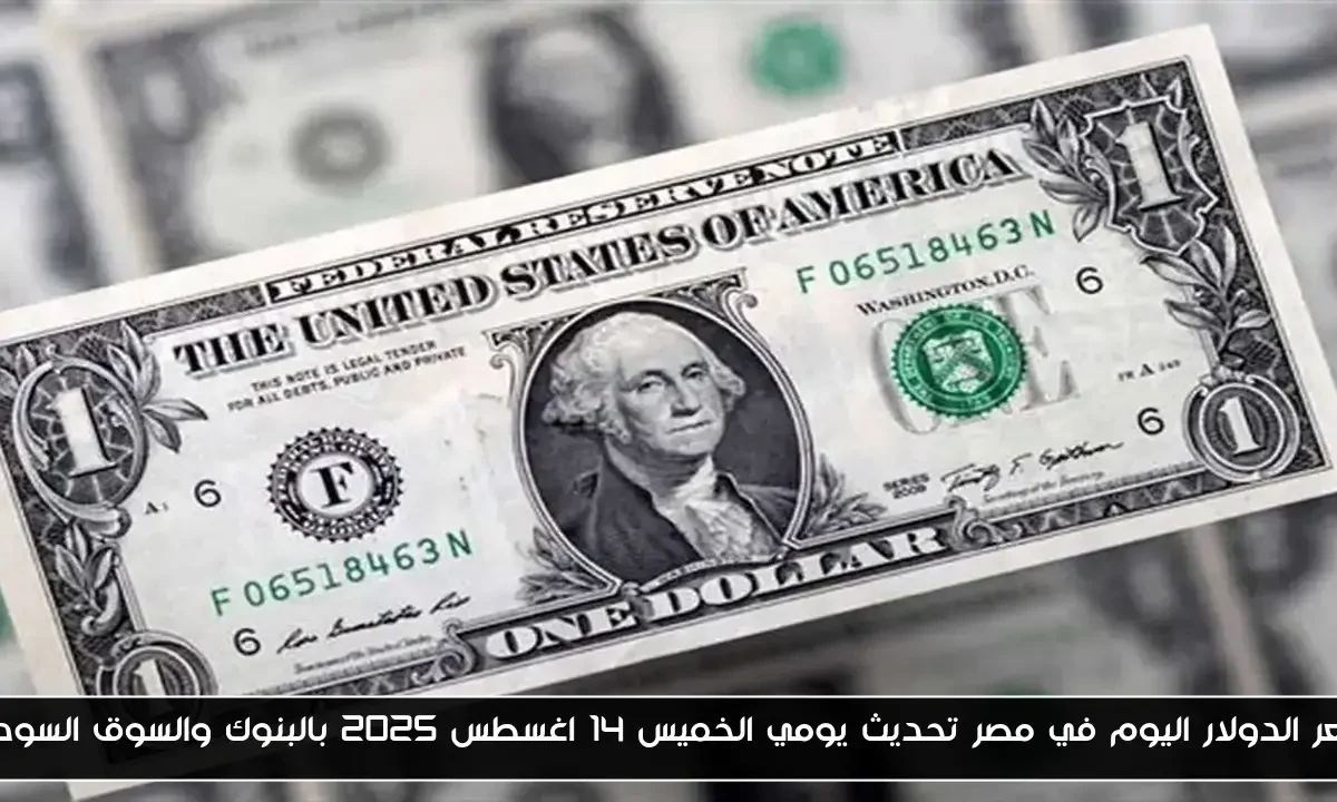 سعر الدولار اليوم في مصر تحديث يومي الخميس 14 اغسطس 2025 بالبنوك والسوق السوداء