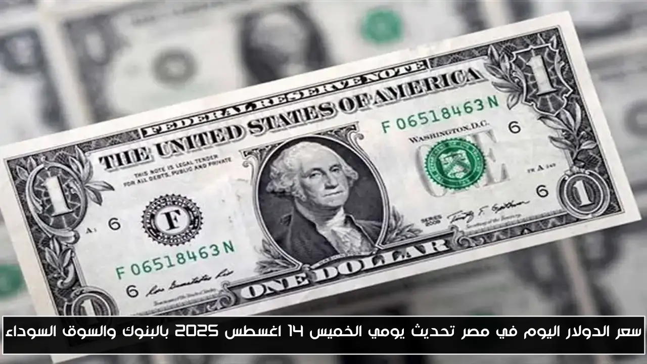 سعر الدولار اليوم في مصر تحديث يومي الخميس 14 اغسطس 2025 بالبنوك والسوق السوداء