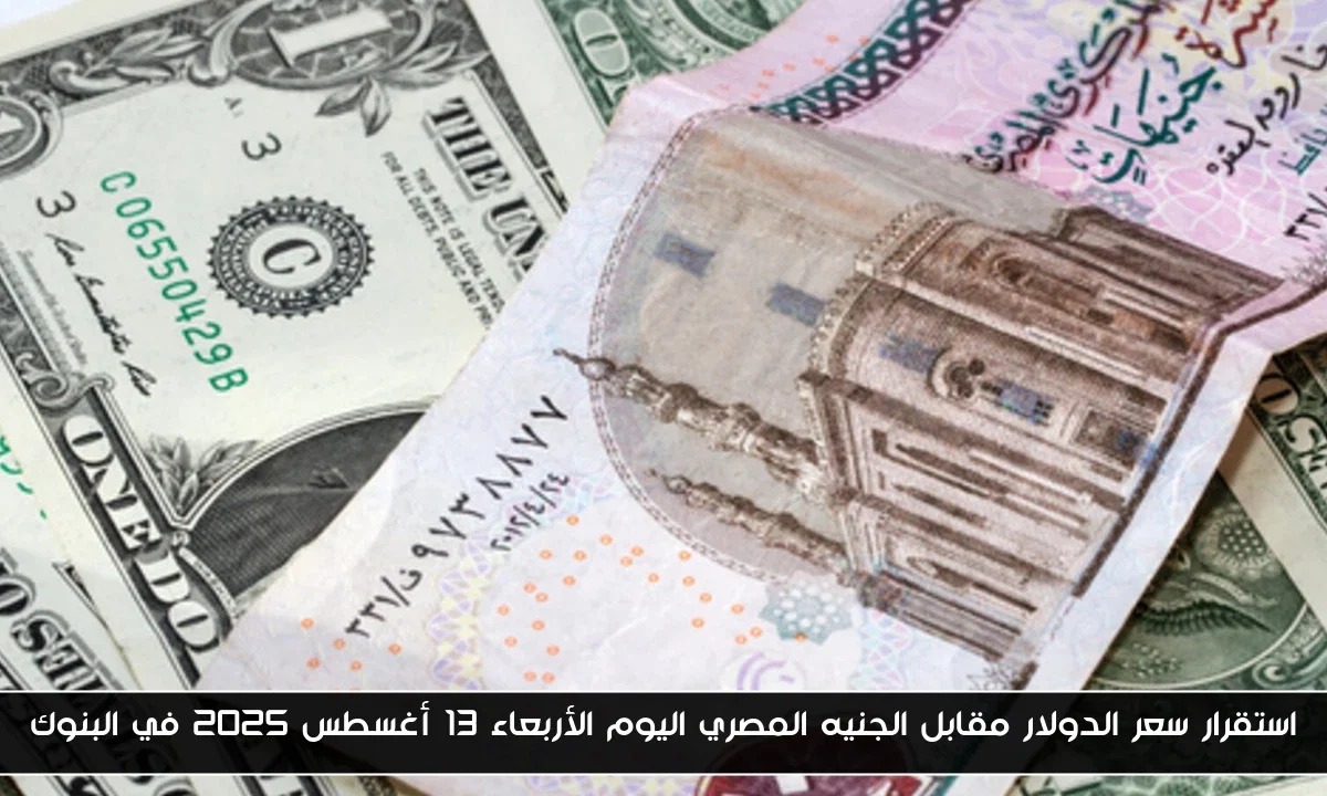 استقرار سعر الدولار مقابل الجنيه المصري اليوم الأربعاء 13 أغسطس 2025 في البنوك