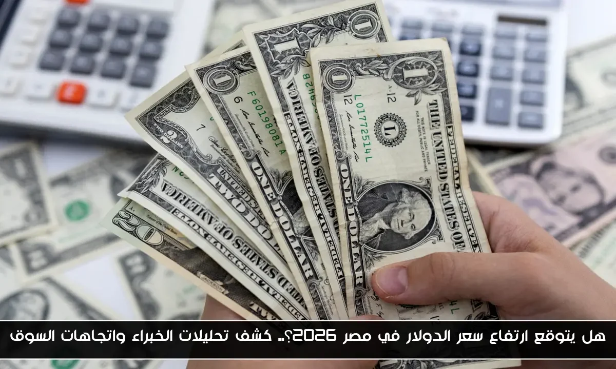 هل يتوقع ارتفاع سعر الدولار في مصر 2026؟.. كشف تحليلات الخبراء واتجاهات السوق