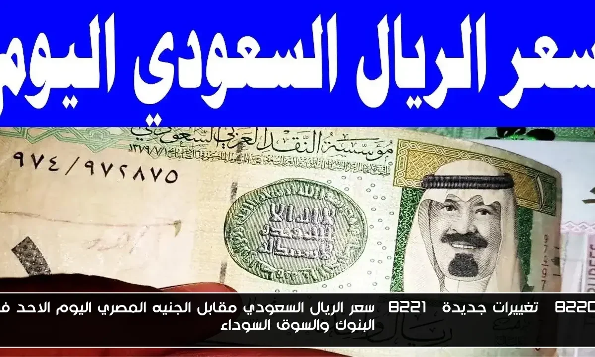 “تغييرات جديدة” سعر الريال السعودي مقابل الجنيه المصري اليوم الاحد في البنوك والسوق السوداء