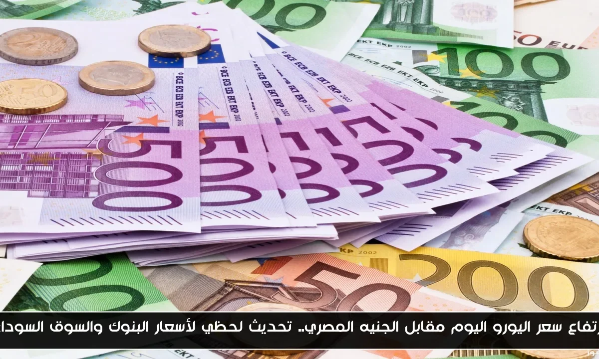 ارتفاع سعر اليورو اليوم مقابل الجنيه المصري.. تحديث لحظي لأسعار البنوك والسوق السوداء