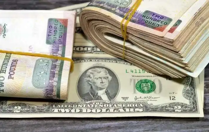 100 دولار بكام مصري سوق سوداء؟