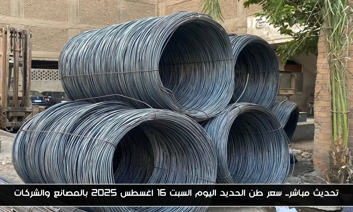 تحديث مباشر.. سعر طن الحديد اليوم السبت 16 اغسطس 2025 بالمصانع والشركات