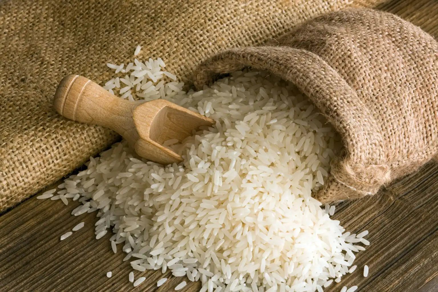 سعر طن الأرز الشعير اليوم