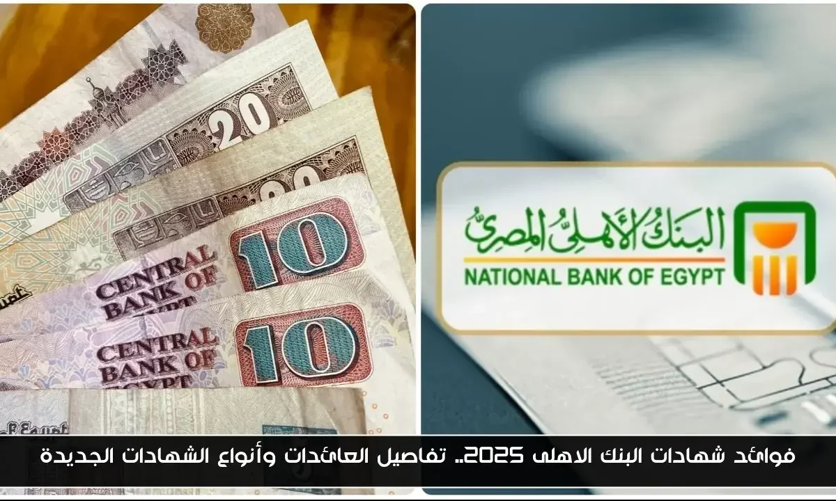 فوائد شهادات البنك الاهلى 2025.. تفاصيل العائدات وأنواع الشهادات الجديدة