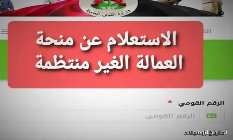“بالرقم القومي”.. لينك الاستعلام عن منحة العمالة الغير منتظمة 2025 عبر manpower.gov.eg والشروط