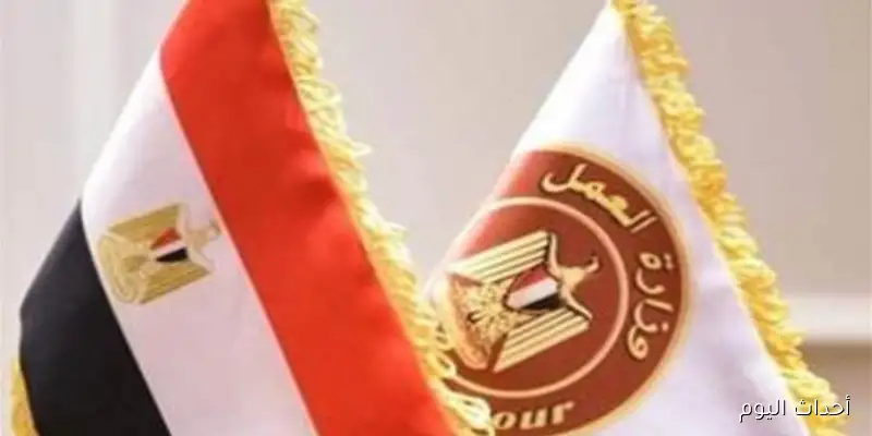 فرصة عمل مميزة في سبتمبر: وزارة العمل تعلن عن وظائف برواتب تصل إلى 40 ألف جنيه