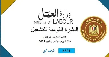 تفاصيل نشرة التوظيف